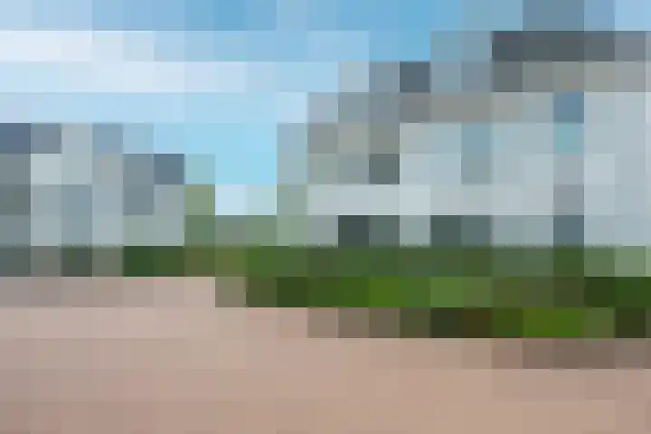 Kaapsehof 1 Doorn thumbnail 46
