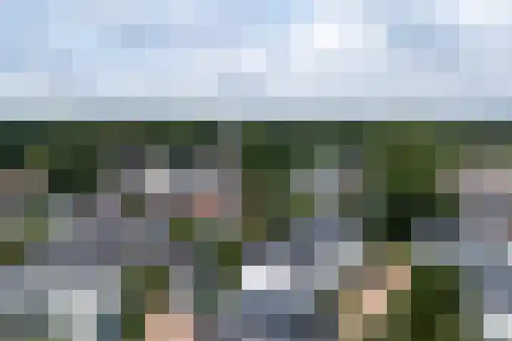 Kaapsehof 1 Doorn thumbnail 50