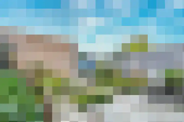 Kaapsehof 19 Doorn thumbnail 15