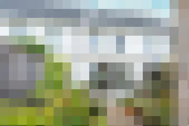 Kaapsehof 19 Doorn thumbnail 17