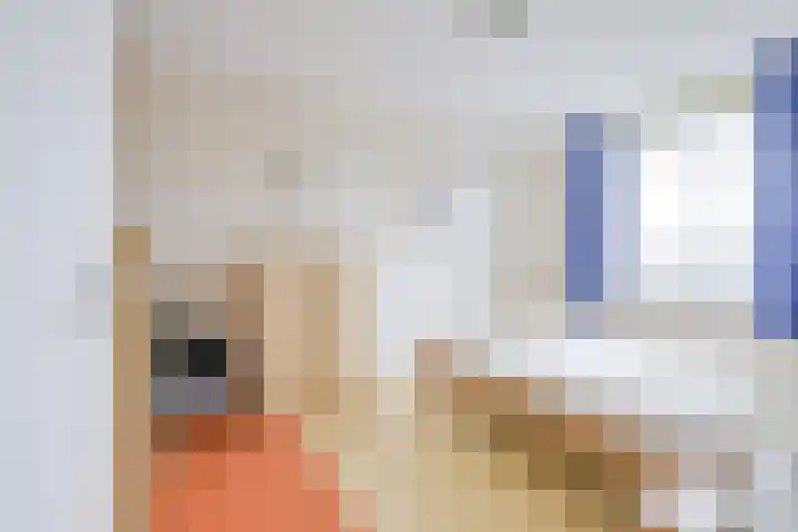 Kaapsehof 19 Doorn thumbnail 19