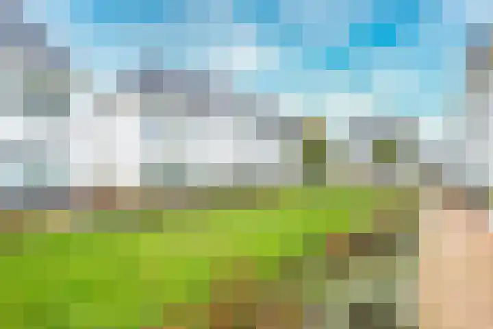 Kaapsehof 19 Doorn thumbnail 35