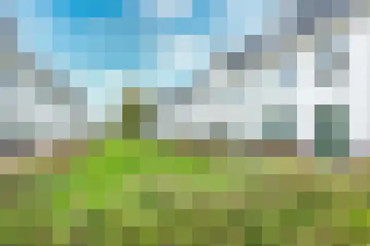 Kaapsehof 19 Doorn thumbnail 36