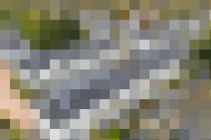 Kaapsehof 19 Doorn thumbnail 37