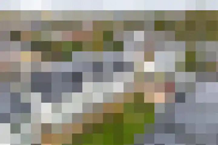 Kaapsehof 19 Doorn thumbnail 38