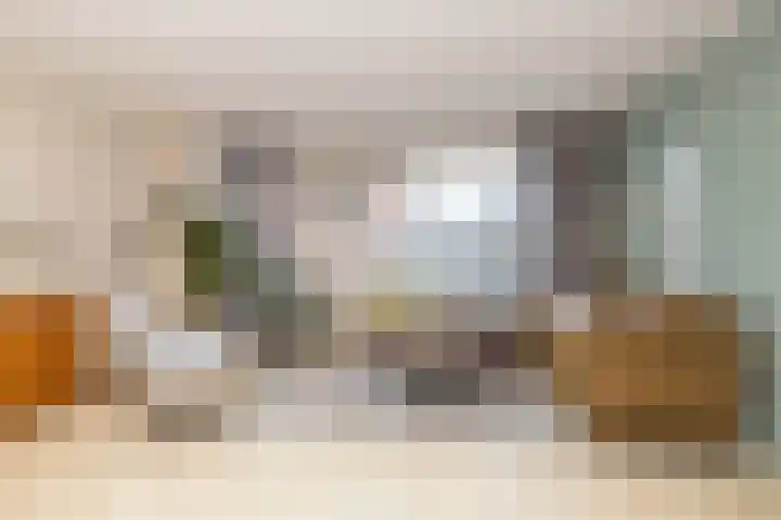 Kaapstander 26 Wateringen thumbnail 10