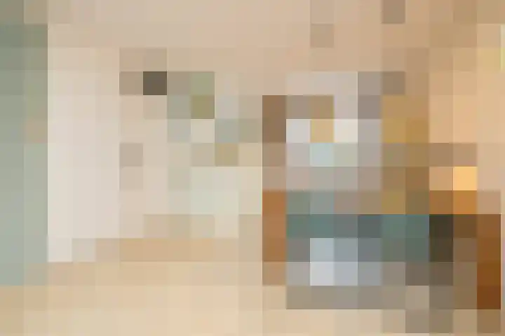 Kaapstander 26 Wateringen thumbnail 12