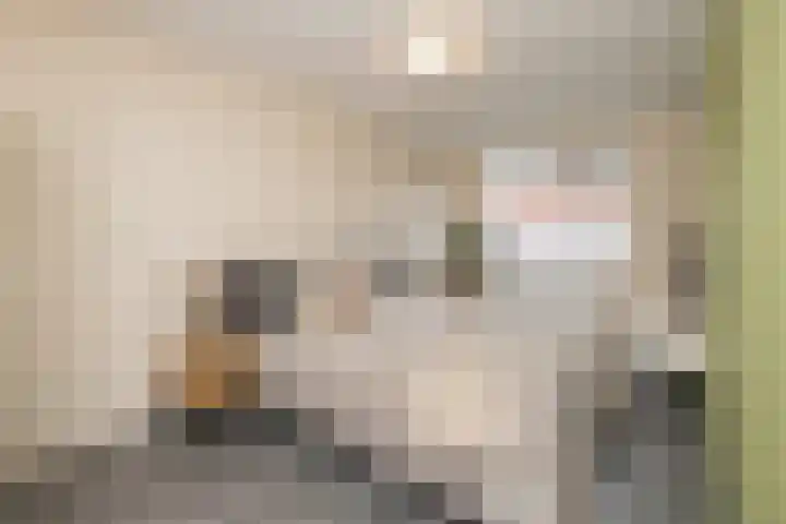 Kaapstander 26 Wateringen thumbnail 20