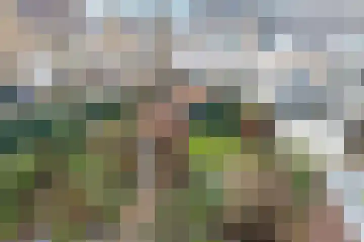 Kaapstander 26 Wateringen thumbnail 36