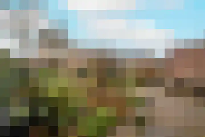 Kaapstander 26 Wateringen thumbnail 37
