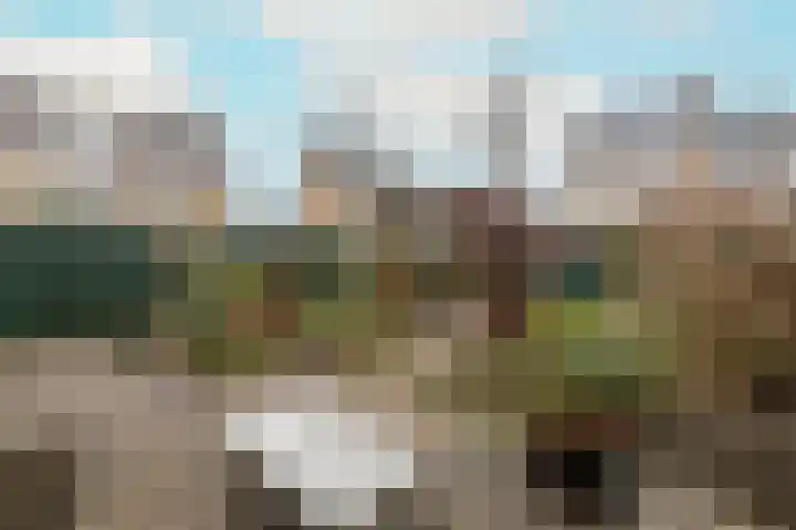 Kaapstander 26 Wateringen thumbnail 38