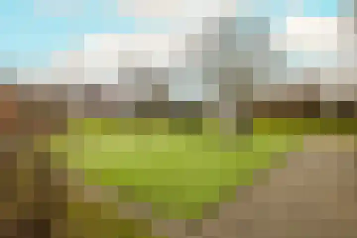 Kaapstander 26 Wateringen thumbnail 40