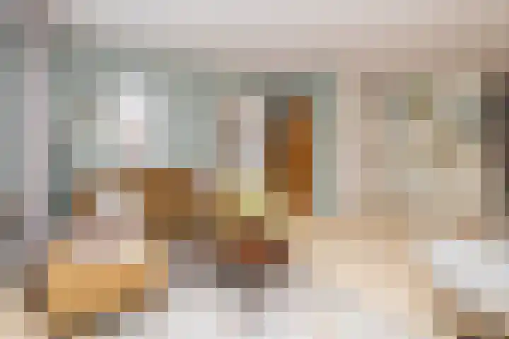Kaapstander 26 Wateringen thumbnail 9