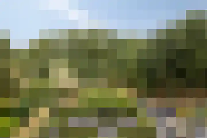 Kaar 20 Riel thumbnail 50