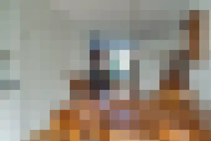 Kaar 42 Hoogwoud thumbnail 16