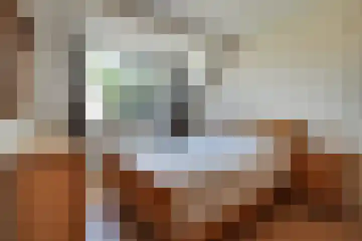 Kaar 42 Hoogwoud thumbnail 30