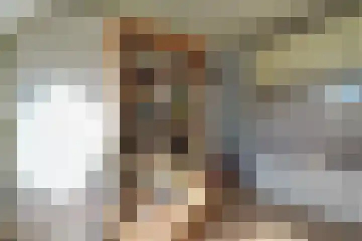 Kaar 42 Hoogwoud thumbnail 38