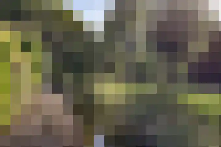 Kaar 42 Hoogwoud thumbnail 4
