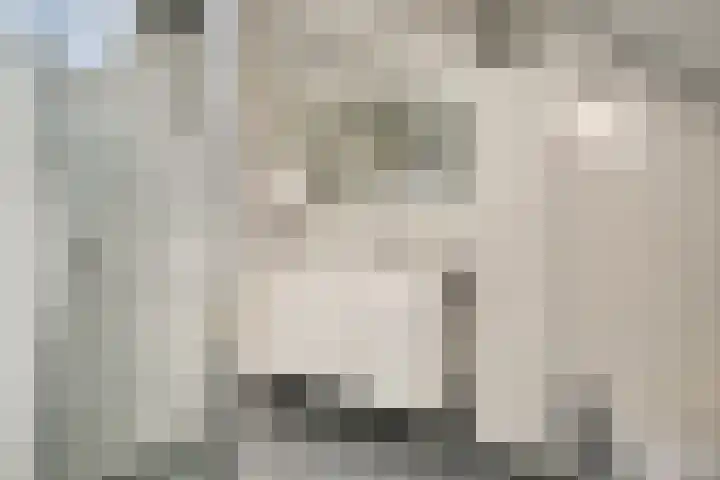 Kaar 42 Hoogwoud thumbnail 42