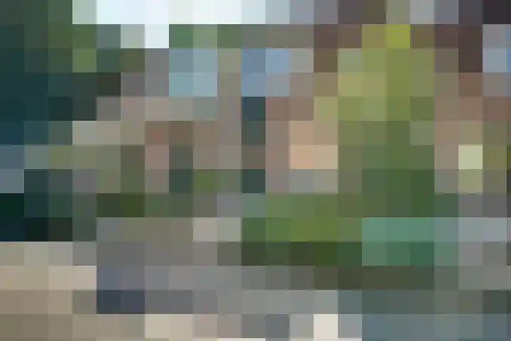 Kaar 42 Hoogwoud thumbnail 55