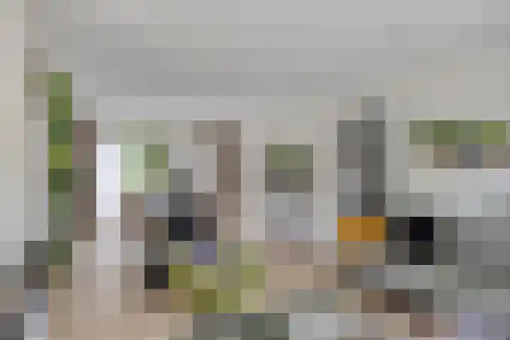 Kaar 8 Riel thumbnail 10