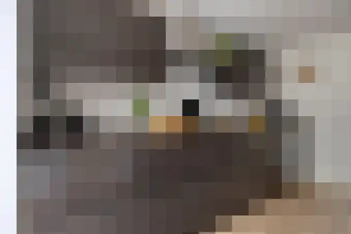 Kaar 8 Riel thumbnail 15