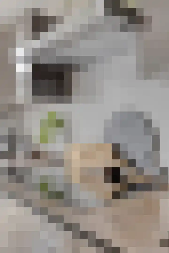 Kaar 8 Riel thumbnail 16