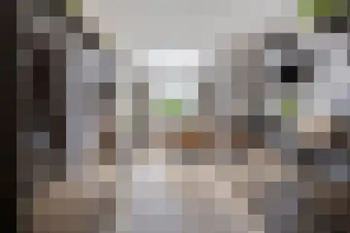 Kaar 8 Riel thumbnail 19