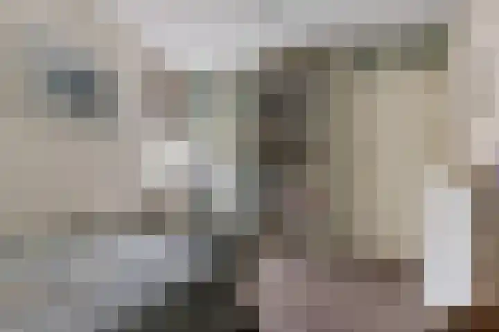 Kaar 8 Riel thumbnail 44