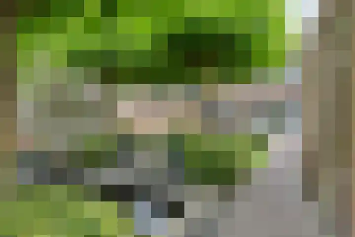 Kaar 8 Riel thumbnail 48