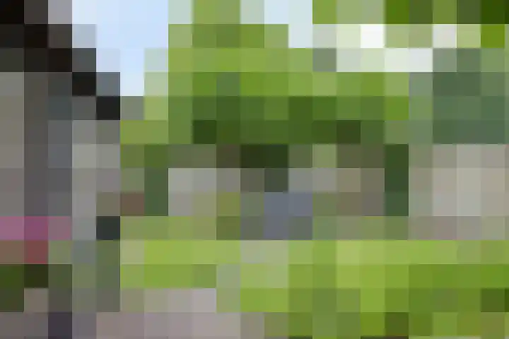 Kaar 8 Riel thumbnail 49