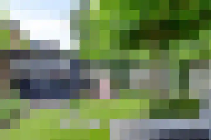 Kaar 8 Riel thumbnail 51