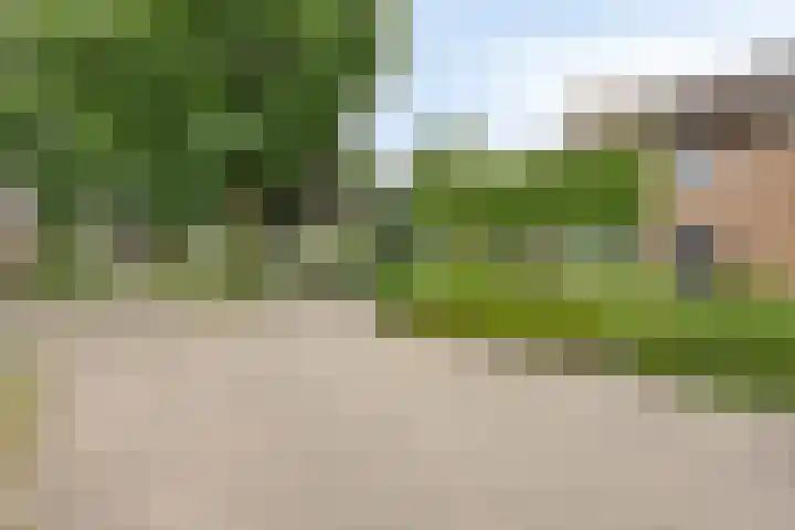 Kaar 8 Riel thumbnail 58