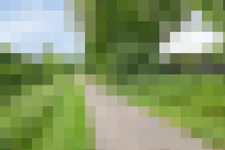 Kaar 8 Riel thumbnail 59