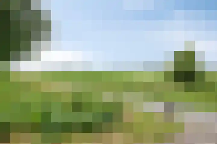 Kaar 8 Riel thumbnail 60