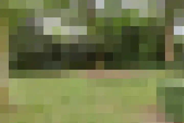 Kaar 8 Riel thumbnail 61