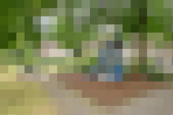 Kaar 8 Riel thumbnail 62