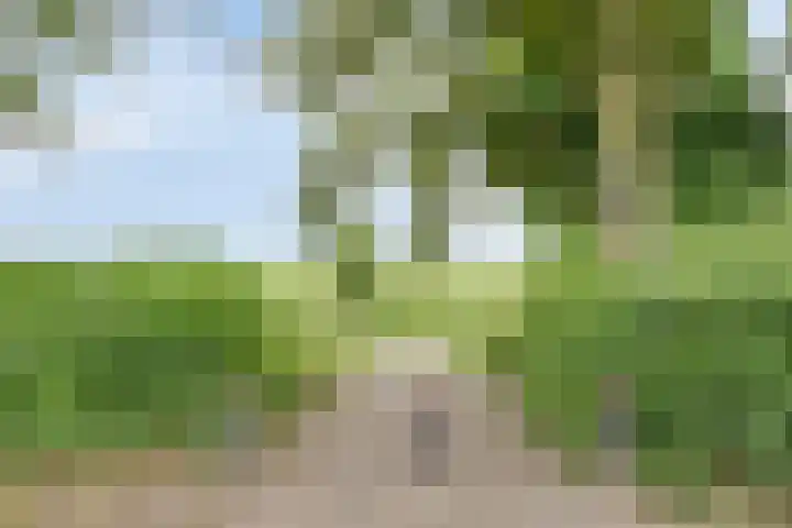 Kaar 8 Riel thumbnail 63