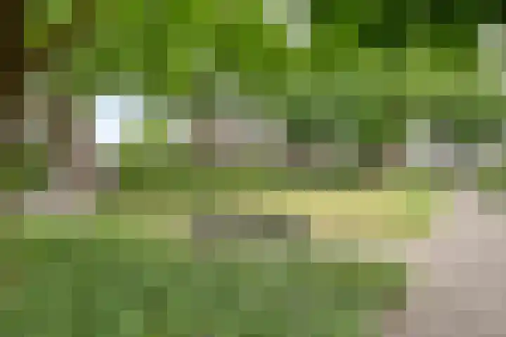 Kaar 8 Riel thumbnail 64