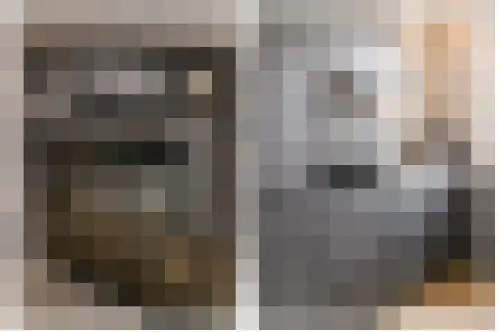Kaarboom 7 Nunspeet thumbnail 22
