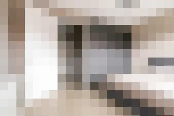 Kaarboom 7 Nunspeet thumbnail 28
