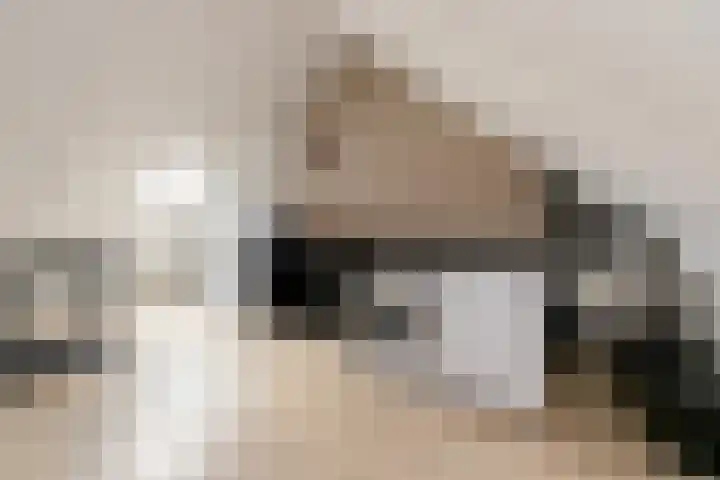 Kaarboom 7 Nunspeet thumbnail 41