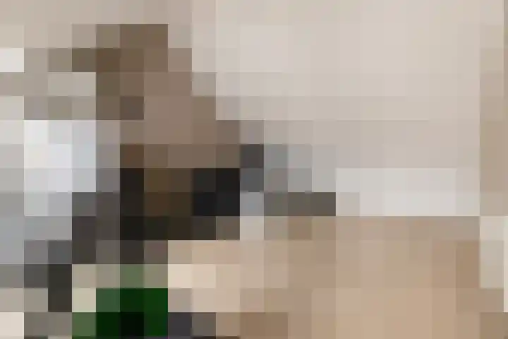Kaarboom 7 Nunspeet thumbnail 43