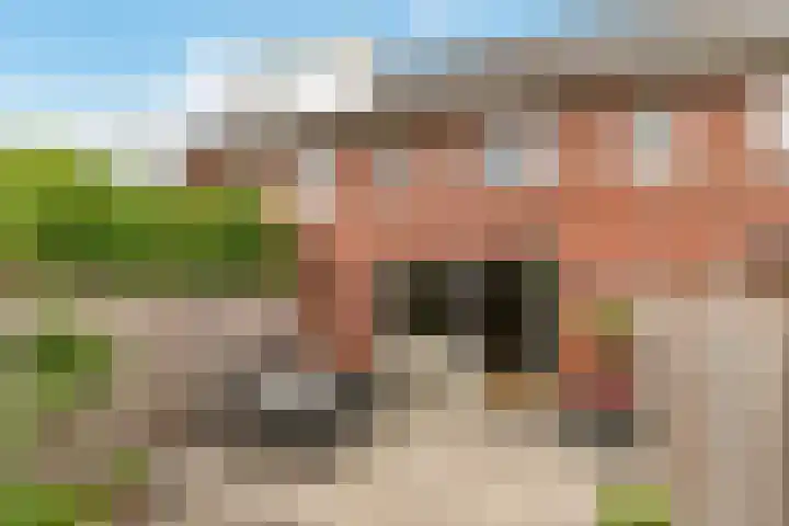 Kaarboom 7 Nunspeet thumbnail 44