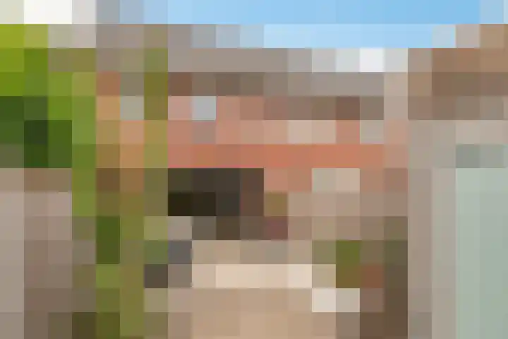 Kaarboom 7 Nunspeet thumbnail 46
