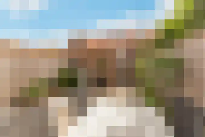 Kaarboom 7 Nunspeet thumbnail 47