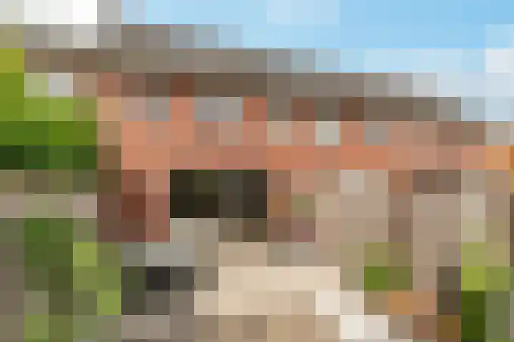 Kaarboom 7 Nunspeet thumbnail 48
