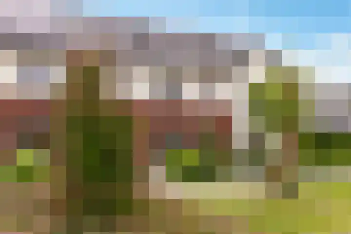 Kaarboom 7 Nunspeet thumbnail 51