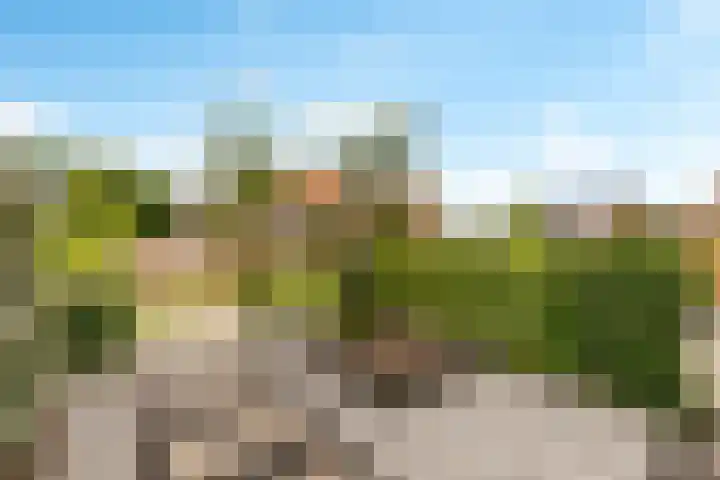 Kaarboom 7 Nunspeet thumbnail 52