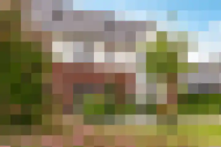 Kaarboom 7 Nunspeet thumbnail 6